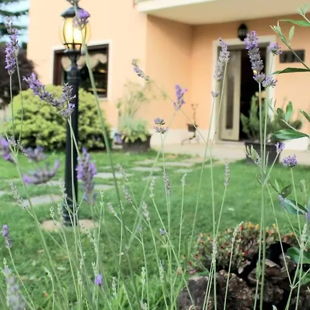 Un Sorriso Sul Viso Martiniana Po